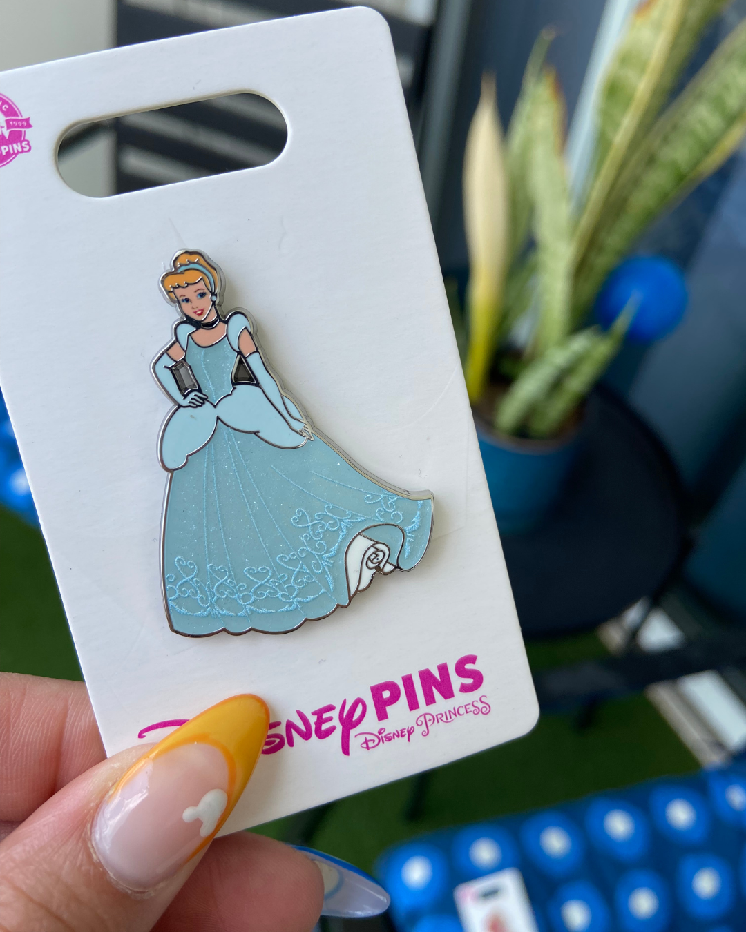 Pin Cenicienta
